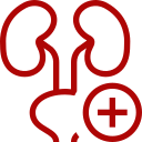 UROLOGIA DESCARTÁVEIS